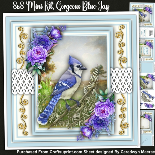 8x8 Mini Kit, Beautiful Blue Jay