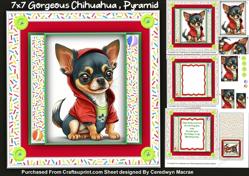 7x7 Mini Kit, Gorgeous Chihuahua , Pyramid