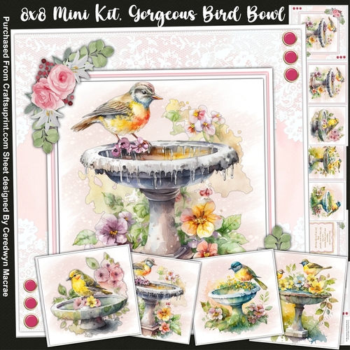 8x8 Mini Kit, Gorgeous Bird Bowl