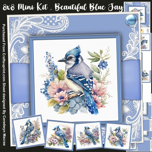 8x8 Mini It , Beautiful Blue Jay