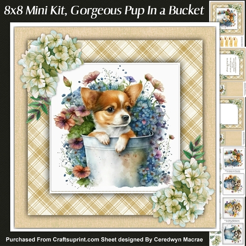 8x8 Mini Kit , Gorgeous Pup In a Bucket