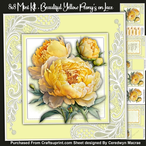 8x Mini Kit, Beautiful Yellow Peonys on Lace