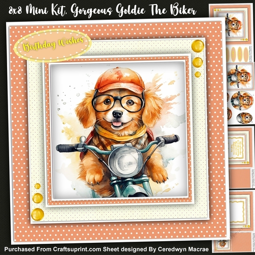 8x8 Mini KIt, Gorgeous Goldie The Biker , Pyramid