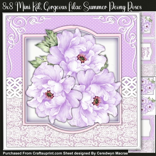 8x8 Mini Kit, Gorgeous Lilac Summer Peony Roses