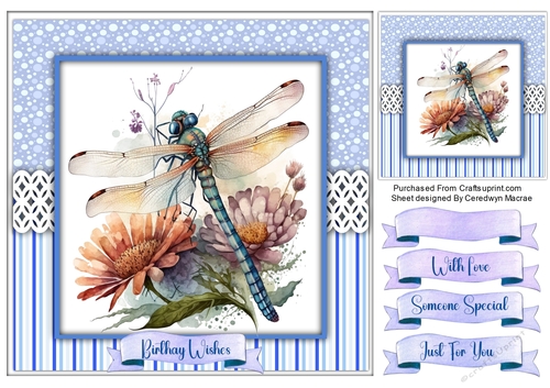 8x8 Quick card Beautiful Dragon Flys , 1