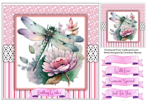 8x8 Quick Card Beautiful Dragonflys , 2