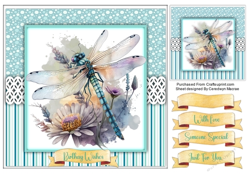 8x8 Quick Card Beautiful Dragonflys , 3