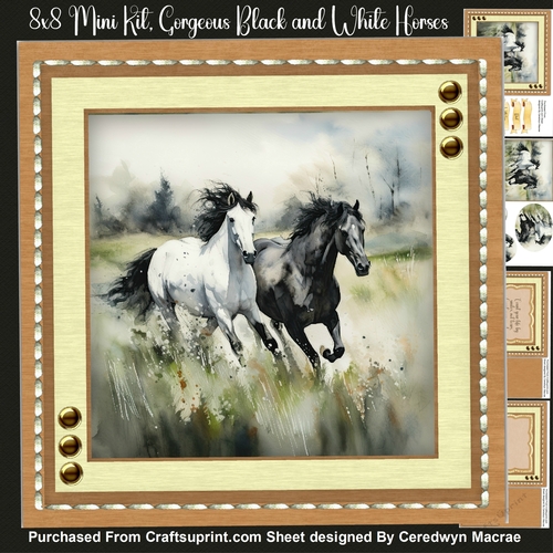 8x8 Mini Kit, Gorgeous Black and White Horses, Topper and Pyramid 