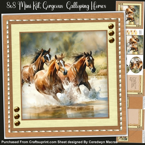 8x8 Mini Kit, Gorgeous Galloping   Horses, Topper and Pyramid 