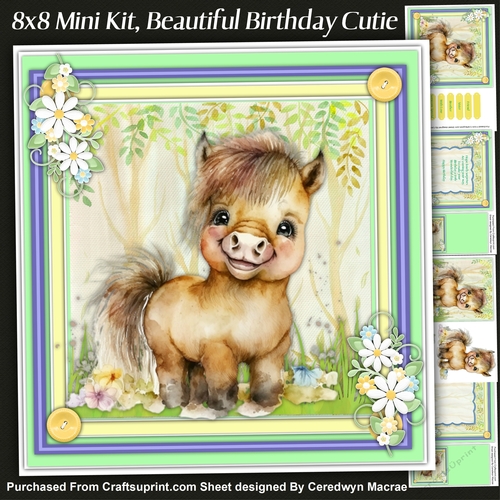 8x8 Mini Kit, Beautiful Birthday Cutie