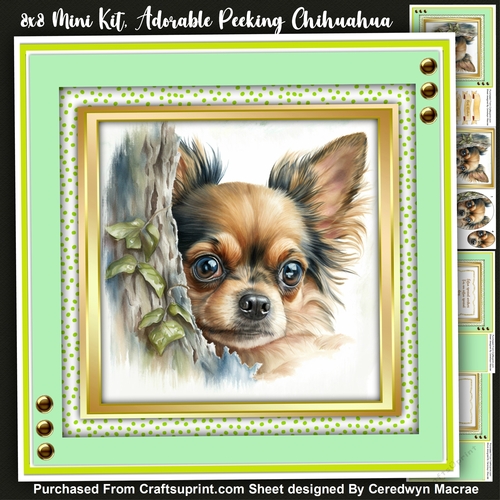 8x8 Mini Kit, Adorable Peeking Chihuahua