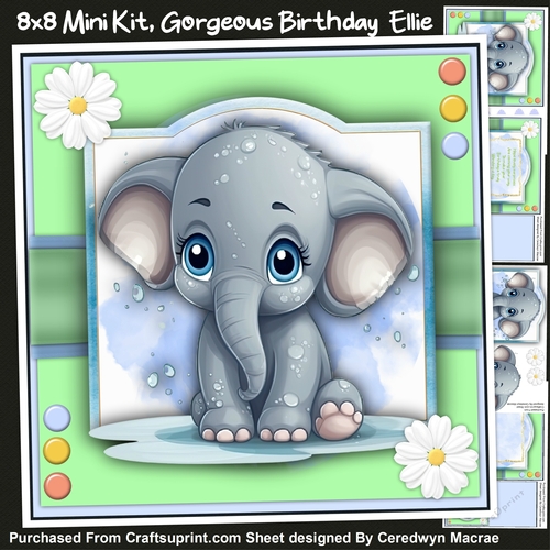 8x8 Gorgeous Birthday Ellie