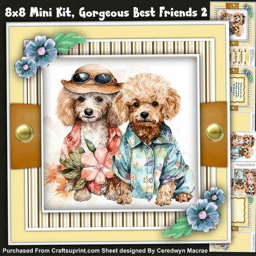 8x8 Mini Kit , Gorgeous Best Friends 2 , Pyramid