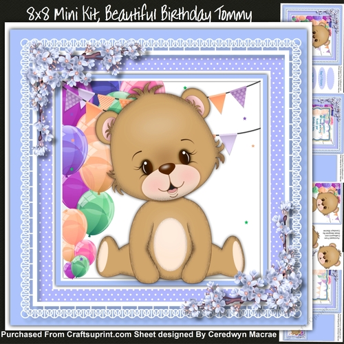 8x8 Mini Kit Beautiful Birthday Tommy