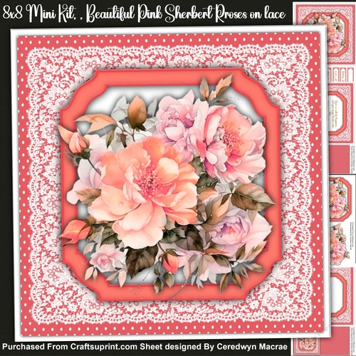 8x8 Mini Kit, Beautiful Pink Sherbart Roses on Lace 