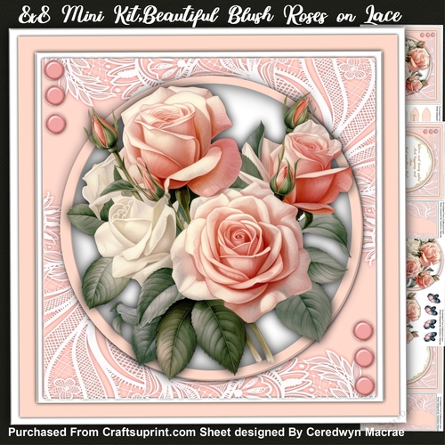 8x8 Mini Kit, Beautiful Blush Roses on Lace