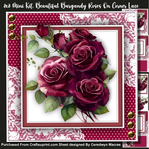 8x8 Mini Kit, Beautiful Burgundy Roses on Corner Lace 
