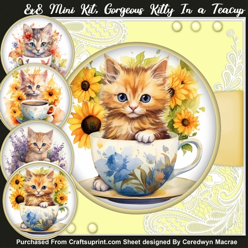 8x8 Mini Kit, Gorgeous Kitty In a Teacup