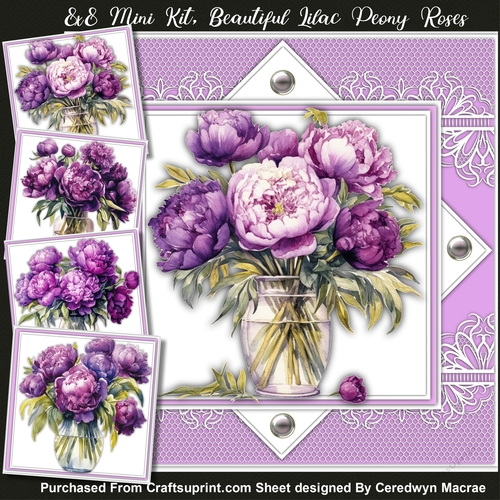8x8 Mini Kit, Beautiful Lilac Peony Roses 