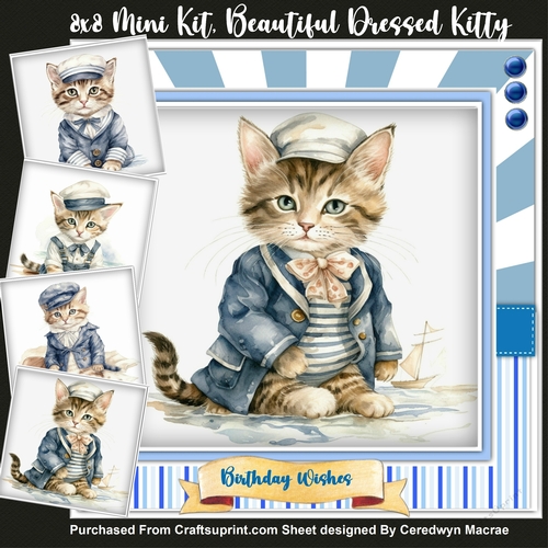 8x8 Mini Kit, Beautiful Dressed Kitty