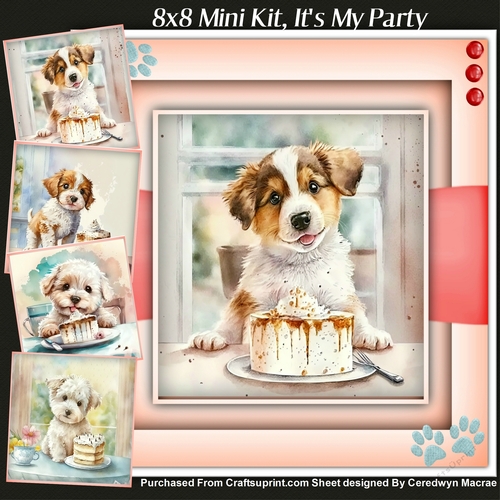 8x8 Mini Kit, Its My Party