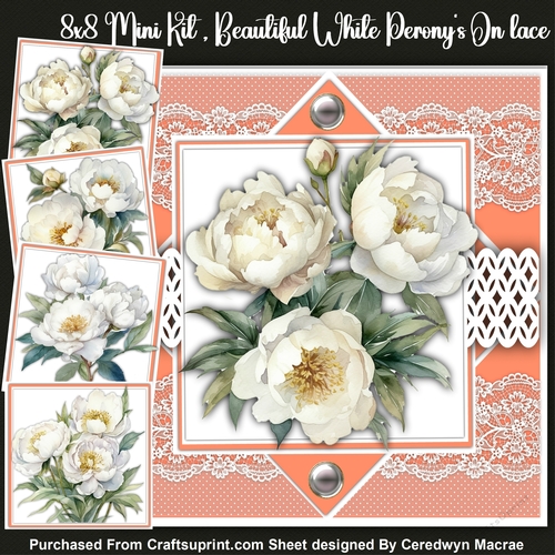 8x8 Mini Kit, Beautiful White Peonys on Lace 