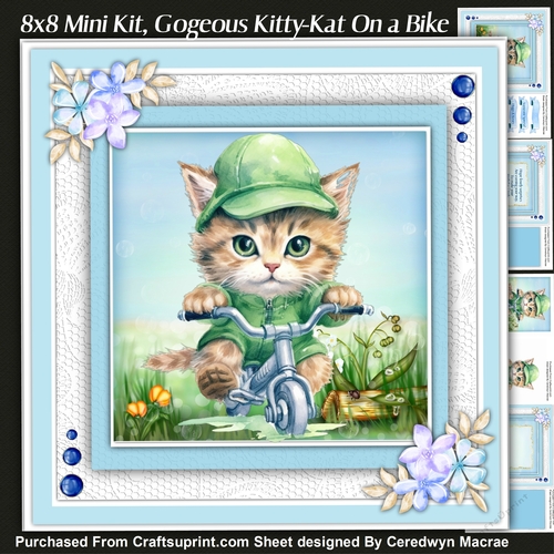 8x8 Mini Kit, Gorgeous Kitty-Kat on a Bike 1
