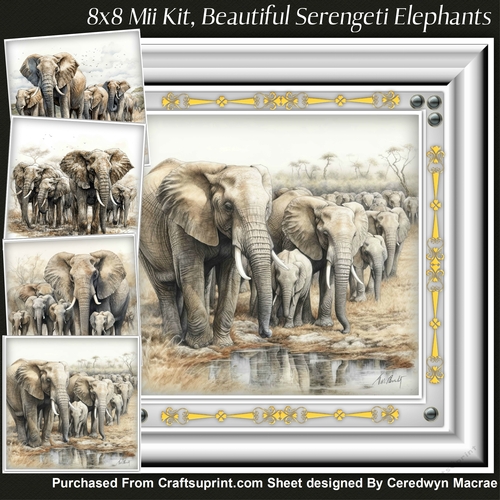 8x8 Mini Kit, Beautiful Serengeti Elephants 