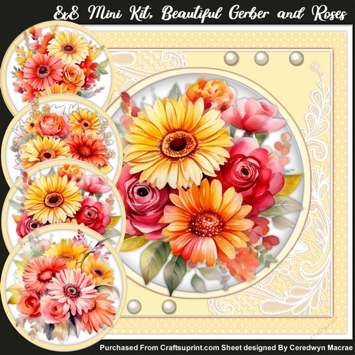8x8 Mini Kit, Beautiful Gerber and Roses