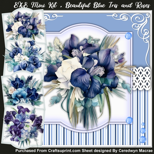 8x8 Mini Kit, Beautiful Blue Iris and Roses 