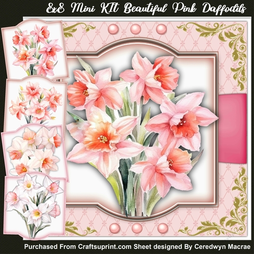 8x8 Mini Kit , Beautiful Pink Daffodils