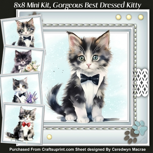 8x8 Mini Kit, Gorgeous Best Dressed Kitty