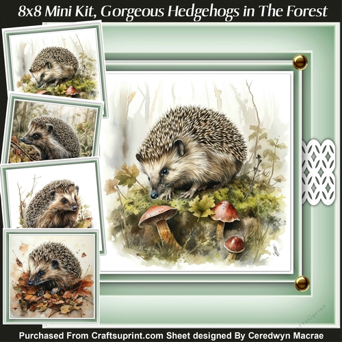 8x8 Mini Kit, Gorgeous Hedgehogs in The Forest