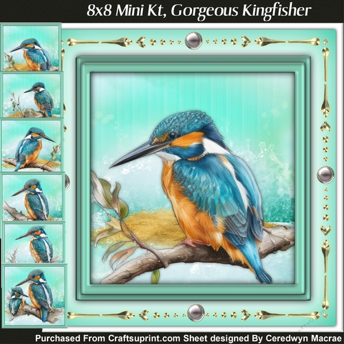 8x8 Mini Kit , Gorgeous Kingfisher 