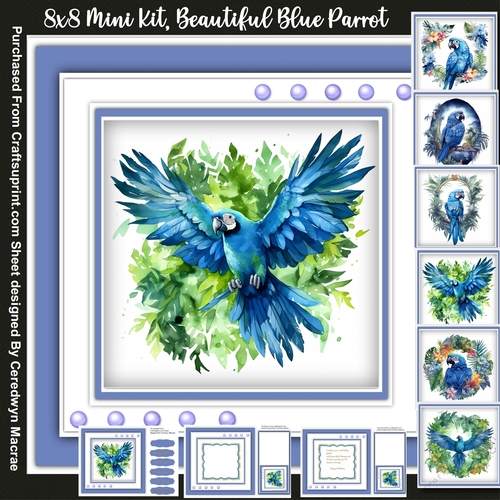 8x8 Mini Kit, Beautiful Blue Parrot