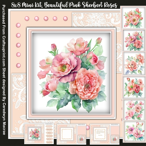 8x8 Mini Kit, Beautiful Pink Shurbert Roses