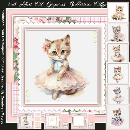 8x8 Mini Kit Gorgeous Ballerina Kitty