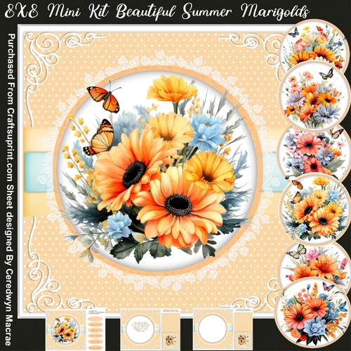 8x8 Mini Kit, Beautiful Summer Masigolds
