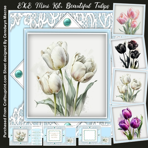 8x8 Mini Kit, Beautiful Tulips