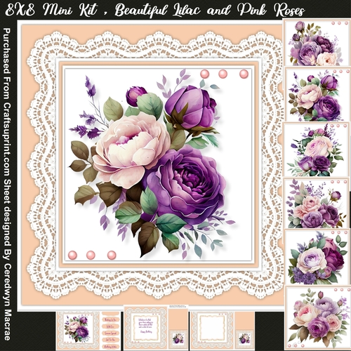 8x8 Mini Kit, Beautiful Lilac and Pink Roses 