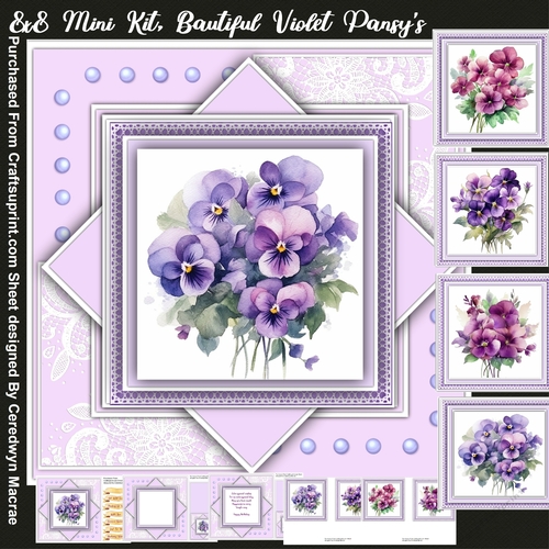 8x8 Mini Kit ,Beautiful Violet Pansys