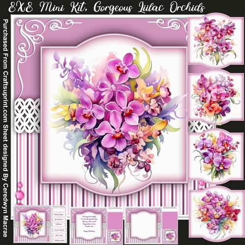 8x8 Mini Kit, Gorgeous Lilac Orchids