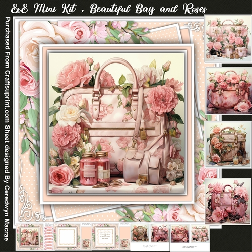 8x8 Mini Kit , Beautiful Bag and Roses