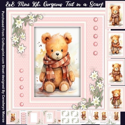 8x8 Mini Kit, Gorgeous Ted in a Scarf