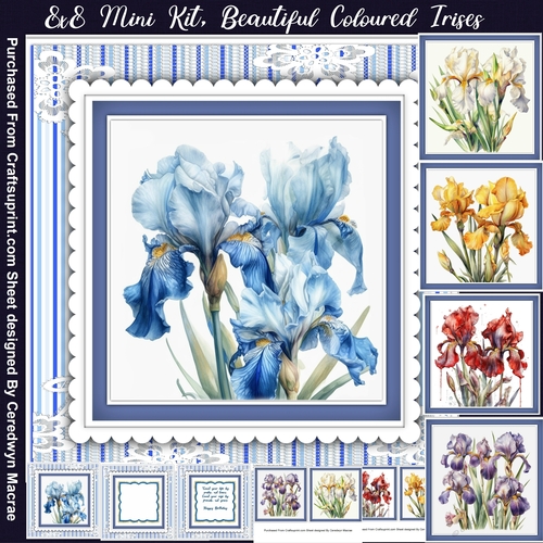 8x8 Mini Kit, Beautiful Blue Irises