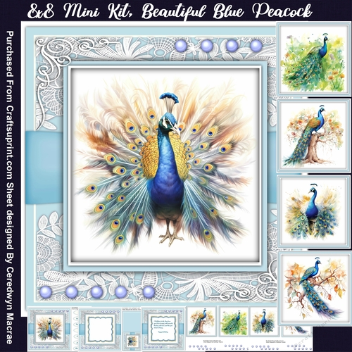 8x8 Mini Kit, Beautiful Blue Peacock