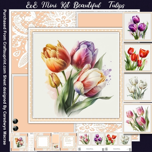 8x8 Mini Kit, Beautiful Tulips