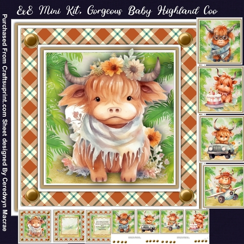 8x8 Mini Kit, Beautiful Baby Highland Coo