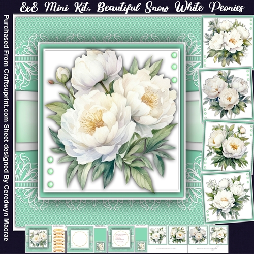 8x8 Mini Kit, Beautiful Snow White Peonies 