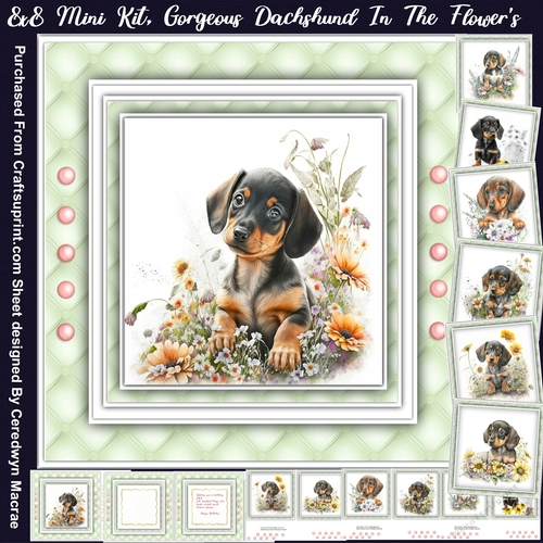 8x8 Mini Kit, Gorgeous Dachshund in the Flowers